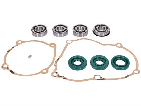 Motor Dichtungssatz und Lager für Puch Maxi S, N, E50 (alter Motor) 