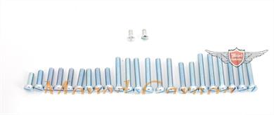 DKW Miele Gritzner Lastboy Göricke Rixe Sachs 50 Motor Schrauben Satz LS Neu 