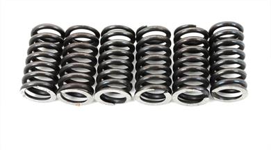 Sachs X - Road XTC 125 Racing Sport Kupplung Feder Satz 