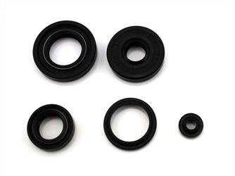 NSU Quickly N L S 2 Gang Motor Drilastic Simmering Satz 