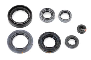 Yamaha RD 50 DT 50 MX TW TY Motor Simmering Satz 7 teilig BAC 