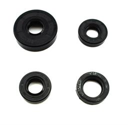 Simson SR 1 SR2 E KR 50 Motor Getriebe Simmering Wellendichtring Satz Germany 